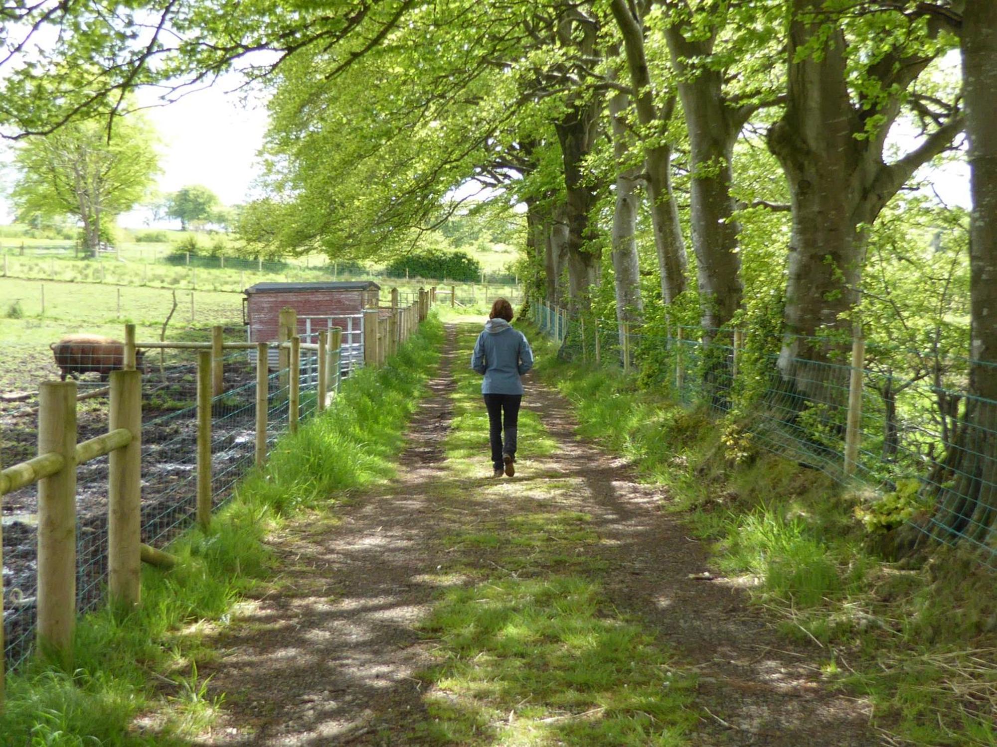 Ballylagan Organic Farm Straid  Номер фото
